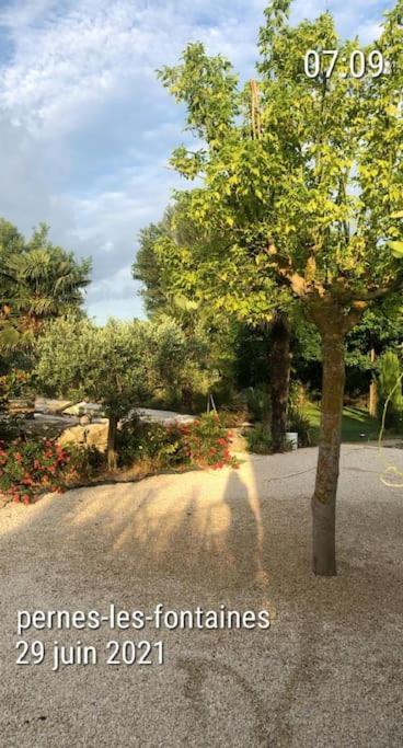 La Provence Avec Piscine Privative En Campagne Lägenhet Pernes-les-Fontaines Exteriör bild